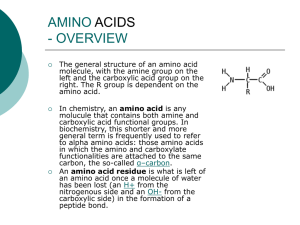 amino acids - UniMAP Portal