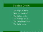 GEOL 1130 Nutrient Cycles