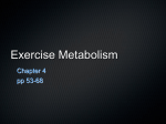 Exercise Metabolism