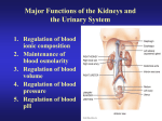 Factors affecting Filtration rate in the kidney