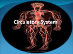 Circulatory System