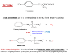 Protein mteabolism