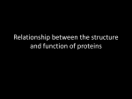 Relationship between the structure and function of proteins
