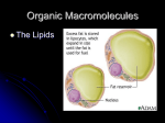 Lipids PowerPoint2 - Valhalla High School