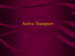 5 Active Transport,endoandexocytosis