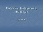Mutations, Mutagenesis, and Repair