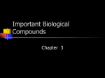 Important Biocompounds I
