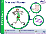 Diet and Fitness