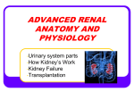 Advanced Renal day 2