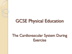 GCSE Physical Education Healthy active lifestyles & how they could