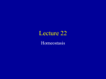 Lecture #22 - Suraj @ LUMS