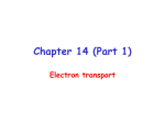 Chapter 14 (Part 1)