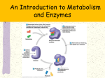 cytology_enzyme_13