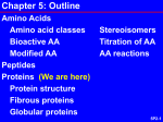 Protein Structure