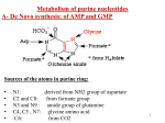Purine and pyrimidi..