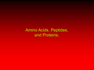 Carey_AminoAcids_Pep..