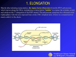 1. ELONGATION