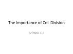 The Importance of Cell Division - kyoussef-mci