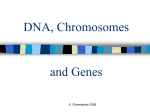 DNA, chromosomes and Genes