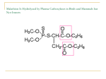 Malathion Is Hydrolyzed by Plasma Carboxylases in Birds and