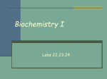 Biochemistry I