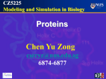 Lecture 2: Proteins