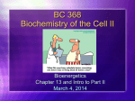 BC 367 Biochemistry of the Cell I