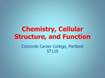 ST110 Chemistry, Cellular Structure, and Function_BB