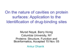 On the nature of cavities on protein surfaces: Application to the