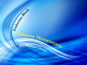 Glucose Homeostasis