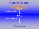 Lecture Chpt. 17 II Transcript