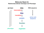 Promoter-proximal Elements