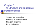 The Structure and Function of Macromolecules