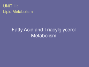 Introduction to Carbohydrates