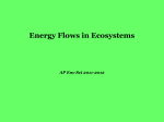Energy Flows in Ecosystems I
