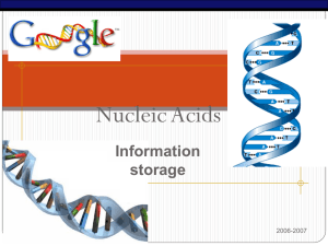 Nucleic Acids PPT