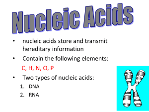NOTES: Nucleic Acids