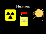 Genetics Review