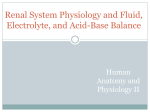 Keto acid + Amino acid