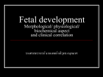 Fetal development Morphological/ physiological/ biochemical aspect