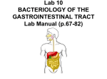 Lecture 2 – Week 7 Control of Microbial Growth