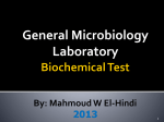 Biochemical Test By: Mahmoud W El