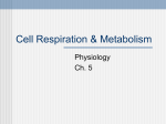 Enzymes & Energy