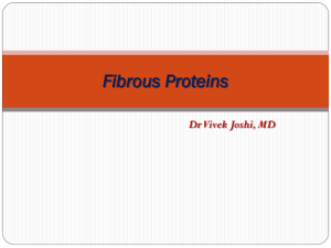 Fibrous Proteins