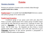 Amino acids and protein (lect 3%2c 2015)