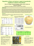 Regulation of flavor and texture in apple fruit genetically