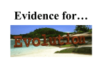 Evidence for Evolution