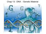 Genetic Material PP - stephanieccampbell.com