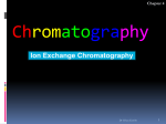 Ion Exchange Chromatography