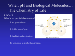 Primary Structure - LaurensAPBiology